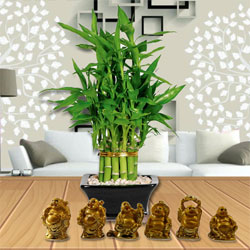 Elegant Moms Day Gift of 2 Tier Bamboo Plant N Laughing Buddha Set to Hariyana