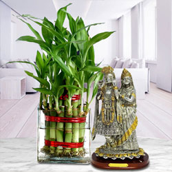 Divine Gift Combo for Good Fortune of Mom to Rajamundri