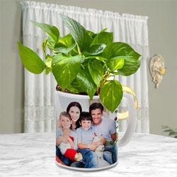 Lucky Money Plant in Personalized Coffee Mug for Mom to Perintalmanna