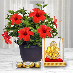 Decorative Hibiscus Plant with Ganesh Idol N Chocolate to Punalur