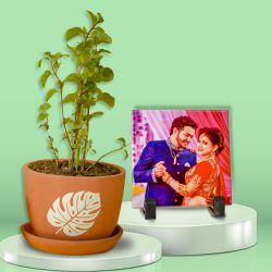 Attractive Gift of Pudina Plant N Personalized Photo Tile