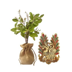 Aesthetic Pair of Jute Wrapped Tulsi Plant N Metal Radha Krishna Idol