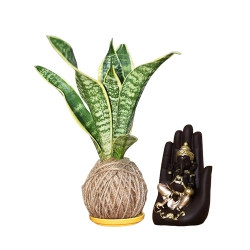 Breathtaking Jute Wrapped Snake Plant N Handcrafted Palm Ganesha Combo to Alwaye