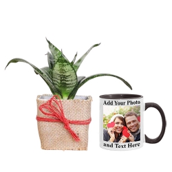 Air Purifying Jute Wrapped Snake Plant N Personalize Coffee Mug Gift Set