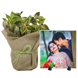 Attractive Pair of Jute Wrapped Coleus Plant N Personalized Photo Tile