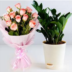 Eye-Catching Bouquet of Pink Roses with Zamia Live Plant to Marmagao