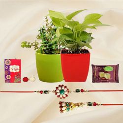 Exciting Lumba Rakhi with Money N Jade Plant Collection