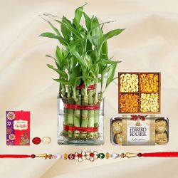 Exclusive Rakhi N 2 Tier Lucky Bamboo Plant Combo