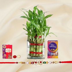 Graceful Rakhi with 2 Tier Lucky Bamboo Plant