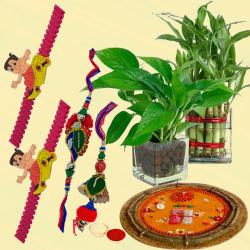 Twin Indoor Plants for Good Wishes with Family Set Rakhi to Andaman and Nicobar Islands