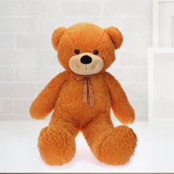 Exclusive Teddy Bear  to Punalur