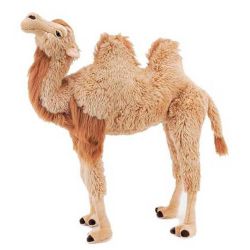 Attractive Standing Camel Soft Toy to Toys_worldwide.asp