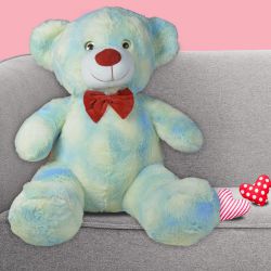 Colorful Teddy Gift for Her to India