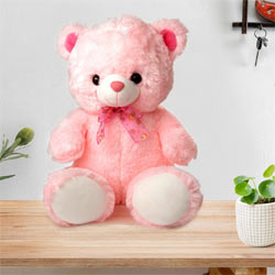 Exclusive Big Teddy Bear  to Worldwide_product.asp