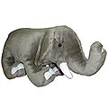 Elephant to Rajamundri