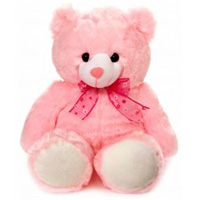 Soft Teddy for Birthday Gift to Irinjalakuda