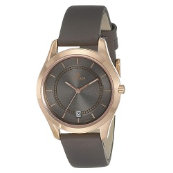 Mesmerizing Titan Workwear Womens Watch with Anthracite Dial