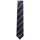 Elegant Tie from Arrow