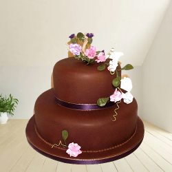 Incredible 2 Tier Chocolate Fondant Cake