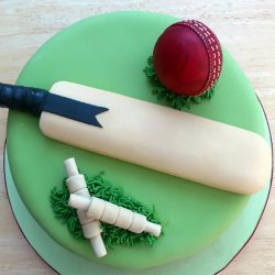 Remarkable Cricket Chocolate Cake Delight to Nipani