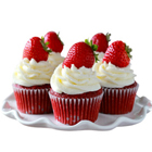 Sweetened Tenderness Cup Cake Collection