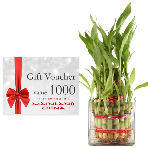 Exclusive Combo of Mainland China Gift E Voucher w... to Alwaye