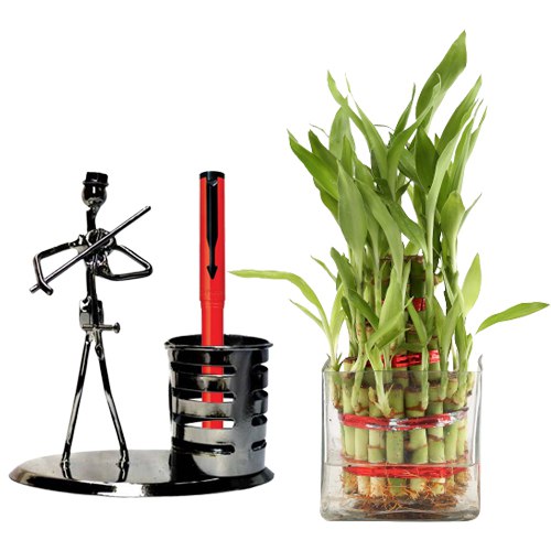 Exclusive Good Luck Combo Gift for Father to Nipani