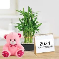 Special Gift of 2 Tier Bamboo with 6 inch Teddy
