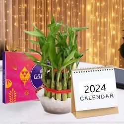 Captivating Gift of Lucky Bamboo, LED Light, Cadbury Celebration