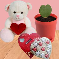 Attractive Teddy Day Hearty Gift Trio