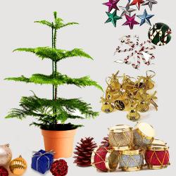 Magnificent Gift of Christmas Tree with Decoration Items to Hariyana