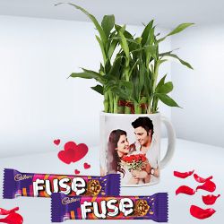 Excellent Two Layer Lucky Bamboo Plant in Personalized Mug with Cadbury Fuse