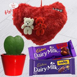 Love Tune Cushion with Hoya Plant n Cadbury Chocolates for Valentine