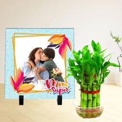 Fabulous Lucky Bamboo Plant with Personalized Photo Frame