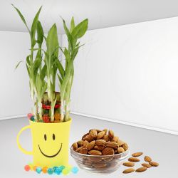 Smiles Forever Lucky Bamboo Plant with Almond n Coffee Mug
