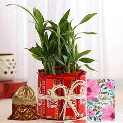 Wonderful Bamboo Plant N Kitkat Bunch with Dry Fruit Potli N Wishes Card for Mom
