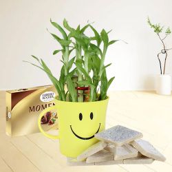 Delightful Kaju Katli N Ferrero Rocher Moments with 2-tier Bamboo Plant in Smiley Mug