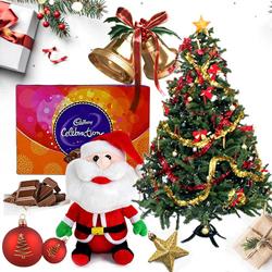 Christmas Celebration Hamper to Punalur