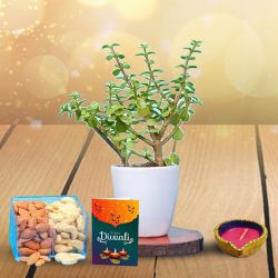 Festive Greens, Nuts And Diya to Lakshadweep