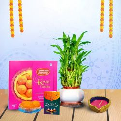 Diwali Radiance  Diya, Laddu, Bamboo Plant