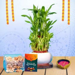 Joyful Diwali Bundle to Kollam