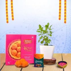 Kesar Laddu, Tulsi, And Diya Delight to Marmagao