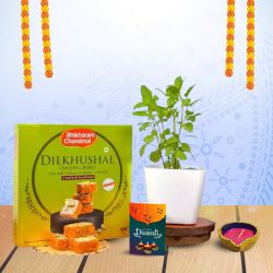 Gourmet Diwali Delight to Chittaurgarh