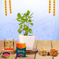 Tulsi, Nuts, And Diya Treasures