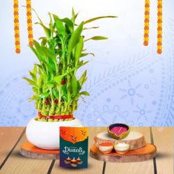 Diwali Zen With Lucky Bamboo to India