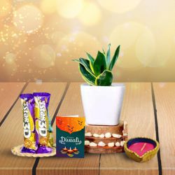 Stars And Snake Plant In Hamper to Hariyana