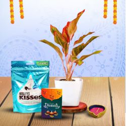 Lipstick Plant and Diwali Greetings to Lakshadweep