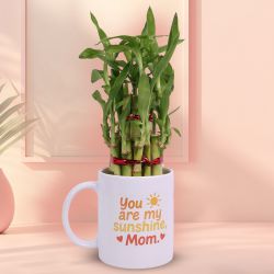 Lucky Bamboo  N  Sunshine Mug Gift to Lakshadweep