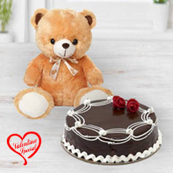 Adorable Brown Bear with Chocolate Cake