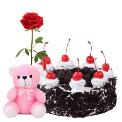 Great Birth Day Gift of Single Rose with Teddy and Black Forest Cake